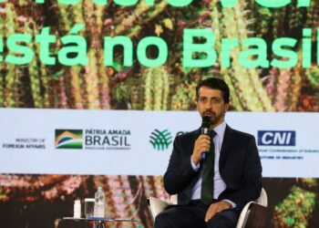 O ministro do Meio Ambiente, Joaquim Leite: "Apresentamos hoje uma nova meta climática" - Foto: Antonio Cruz/Agência Brasil