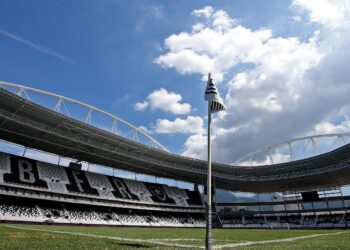 Botafogo e Guarani se enfrentam no estádio Nilton Santos, o Engenhão, domingo (28), às 16h, Foto: Divulgação