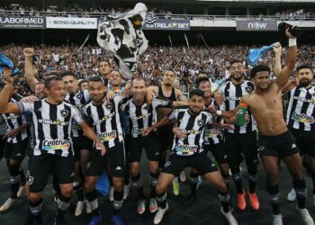 Jogadores fazem a festa em campo após garantirem a volta para a Série A do Brasileiro. Foto: Vitor Santos/Botafogo