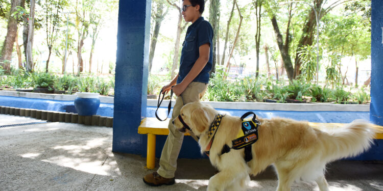 Em Campinas, o número de pessoas cegas ou com baixa visão, é de mais de 25 mil pessoas. Fotos: Carlos Bassan/ Divulgação PMC