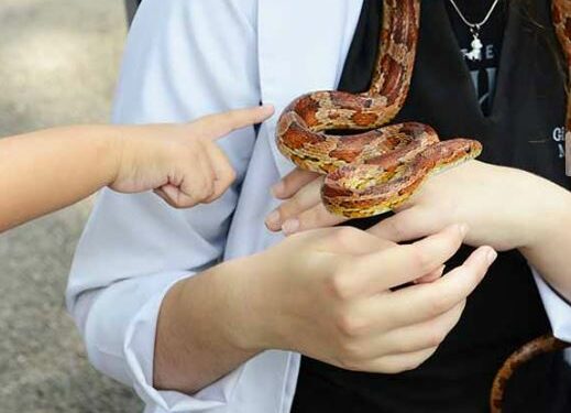 Bosque Interativo tem última edição do ano neste final de semana