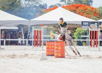 Indaiatuba vai sediar 40ª Exposição Nacional do Cavalo Árabe