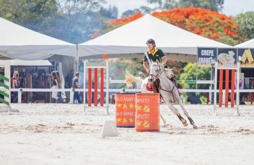 Copa Nacional de Enduro do Cavalo Árabe 2023 acontece neste sábado em  Campinas (SP)