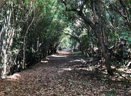 ‘Trilhas da Mogiana’ terá ciclovia em trecho entre Jaguariúna e Pedreira