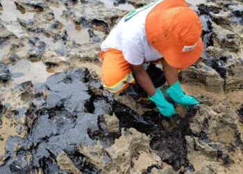 Polícia Federal:  foram encontradas manchas de óleo em mais de mil localidades, em 11 estados litorâneos - Foto: Agência Petrobras