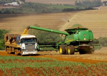 Concentração da safra da soja no primeiro semestre impactou queda de 8% na agropecuária no terceiro trimestre - Foto: José Fernando Ogura/AEN-PR