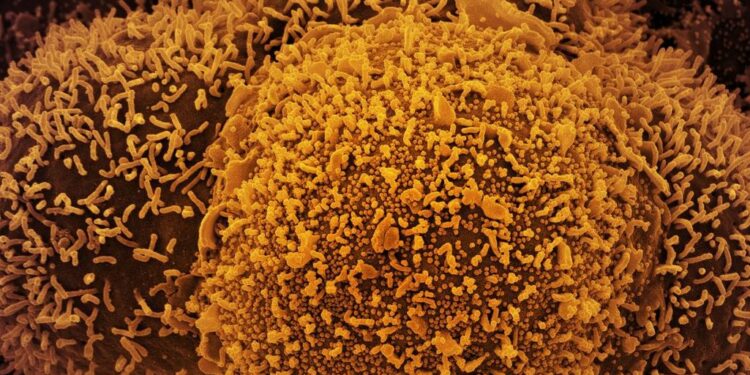 Comemorações de Ano-Novo no mundo são ofuscadas pela Covid-19