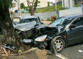 Veículos envolvidos no acidente se chocaram com uma árvore: mulher não resistiu Foto: Barba Azul/Divulgação