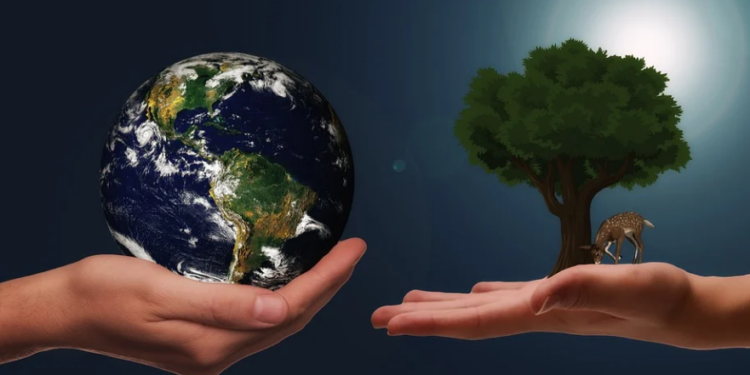 Artigo: Normas internacionais de sustentabilidade – por Valdir Coscodai