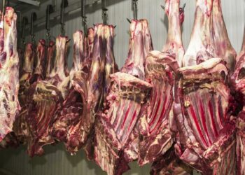 A China é o principal destino da carne produzida no Brasil. Foto: Marcello casal/Agência Brasil