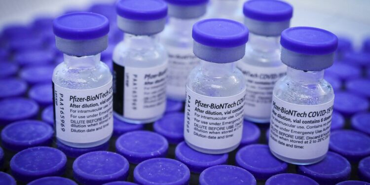 Vacina da Pfizer comprada pelo Ministério da Saúde
Foto: Geovana Albuquerque/Agência Saúde DF