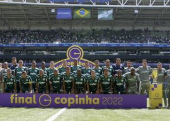 Foto para o pôster do campeão: Palmeiras derruba mais um tabu e segue forte no futebol Foto: Divulgação