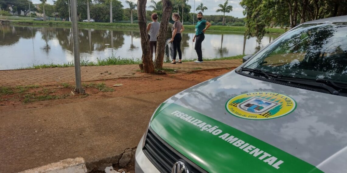 Os peixes mortos foram retirados e a Prefeitura pediu ajuda à Cetesb. Foto: Divulgação