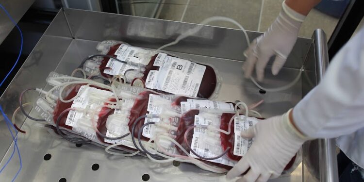 O estoque de sangue no Hemocentro da Unicamp é de 800 bolsas, quando o mínimo necessário são 1,5 mil. Foto: Leandro Ferreira/Hora Campinas