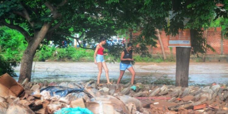 Estragos e mortes foram causados pelas fortes chuvas que atingem Minas Gerais desde o final do ano passado - Foto: Marco Evangelista/Imprensa Governo MG