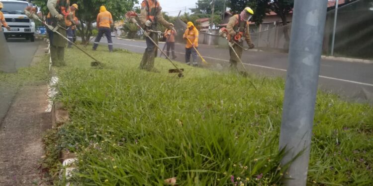 Hortolândia inicia o ano com mutirão de poda do mato e limpeza