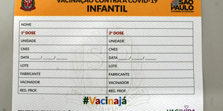 Carteira de vacinação pronta para ser preenchida durante campanha na cidade de Valinhos Foto: Leandro Ferreira/Hora Campinas