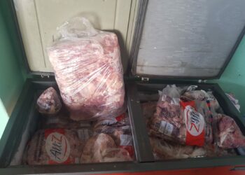 A carne furtada estava guardada em um freezer: três foram presos. Foto: Divulgação