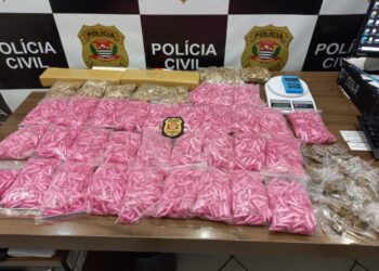 Foram encontradas mais 5 mil porções da droga e cerca de 1.5kg de maconha. Foto: Deinter 2/Divulgação