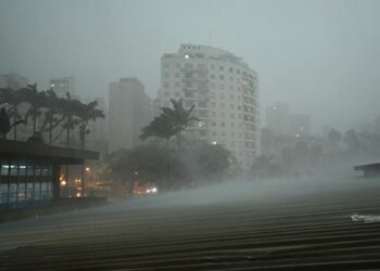 Chuva forte e vento derrubam árvores e provocam alagamento
