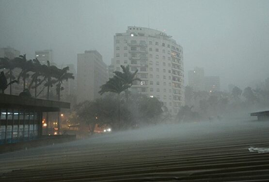 Chuva forte e vento derrubam árvores e provocam alagamento