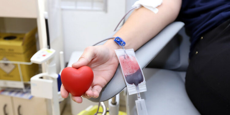 Doar sangue é um ato de amor e cidadania, que salva vidas: Hemocentro está com estoques críticos. Foto: Fernanda Sunega/PMC/Divulgação