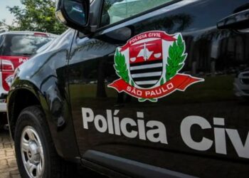 Polícia Civil prendeu o falso empresário em Campinas. Foto:  Divulgação