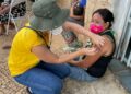 Agente aplica vacina em membro da tribo venezuelana, que costuma ficar na região do Terminal Metropolitano: população é considerada vulnerável Foto: Divulgação