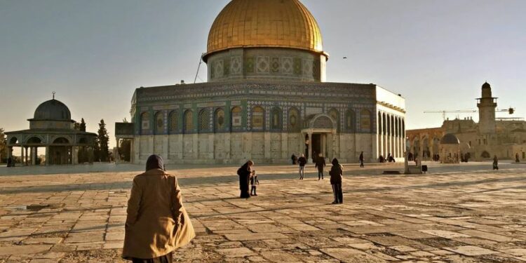Israel detecta 1º caso de infecção dupla conhecida como flurona
