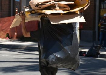 O colapso ambiental é político! – por Luis Felipe Valle