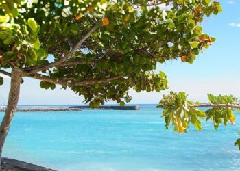 Turismo paulista viabiliza R$ 434 milhões para projetos