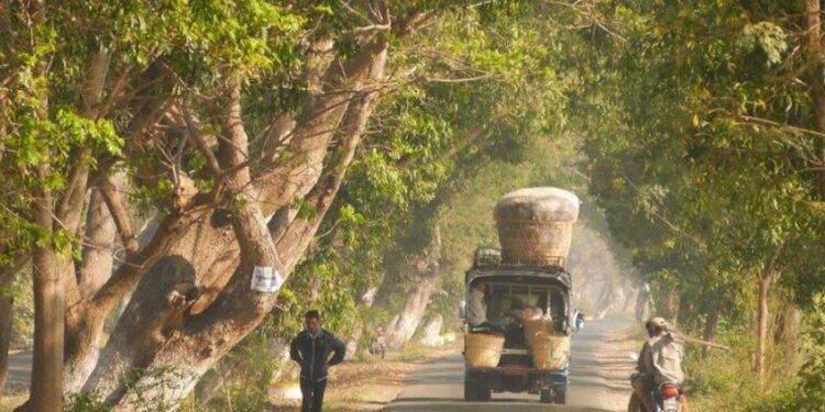 ONU pede que bloqueio de venda de armas para Mianmar