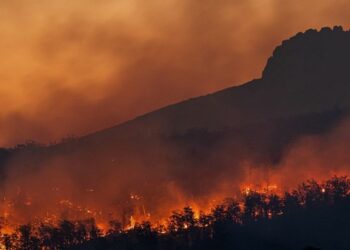 Projeções mostram que as queimadas serão mais intensas e frequentes, graças à mudança climática, com temperaturas mais quentes e clima mais seco - Foto: Unsplash/Matt Palmer/ONU News