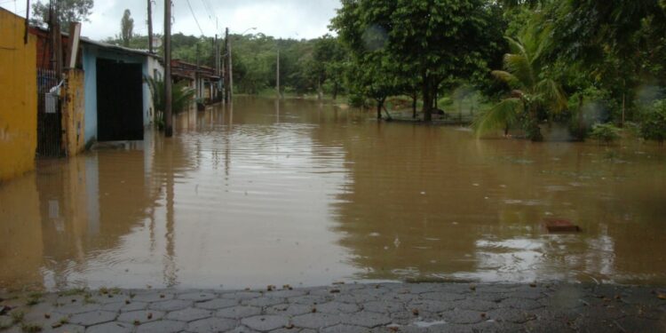 População de Capivari sofre com alagamentos desde o último domingo - Foto: Leandro Ferreira/Hora Campinas