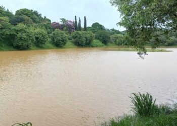 De acordo com os autos, houve assoreamento e desmatamento da cobertura vegetal às margens da lagoa. Fotos: Divulgação/PMV