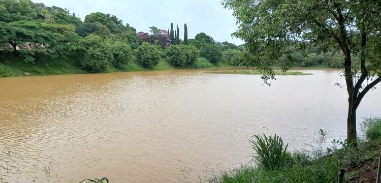 De acordo com os autos, houve assoreamento e desmatamento da cobertura vegetal às margens da lagoa. Fotos: Divulgação/PMV