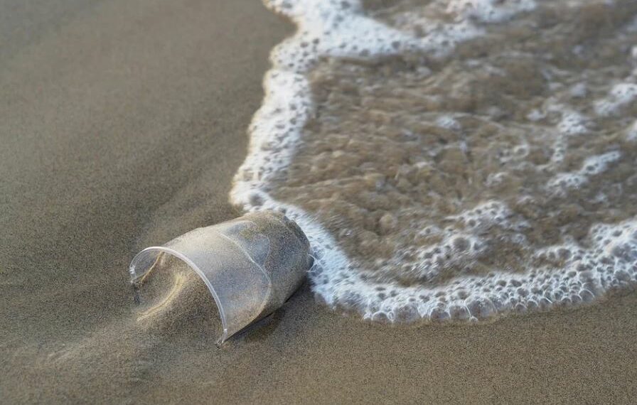 No mar Mediterrâneo, plásticos ameaçam ecossistemas: Espanha e França entre os maiores poluidores - Foto: Pixabay