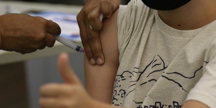 Brasil recebe nesta sexta-feira mais um lote de vacinas da Pfizer: chegada a Guarulhos - Foto: Tania Rego/Agência Brasil