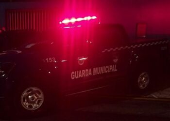 Jovem mata companheira e tenta suicídio em Campinas