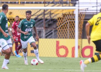 O Guarani foi beneficiado pelos resultados e se garantiu, mesmo com o empate. Fotos: Thomaz Marostegan/Guarani FC