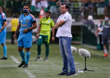 O Palmeiras é um adversário nível AA, avalia o treinador Daniel Paulista. Foto: Thomaz Marostegan/Guarani FC