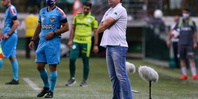 O Palmeiras é um adversário nível AA, avalia o treinador Daniel Paulista. Foto: Thomaz Marostegan/Guarani FC