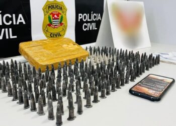 Polícia Civil prende homem em Paulínia com 235 pinos de cocaína