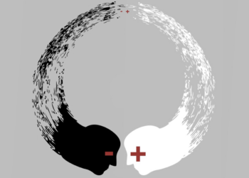 A razão que a própria razão desconhece – por Luis Norberto Pascoal