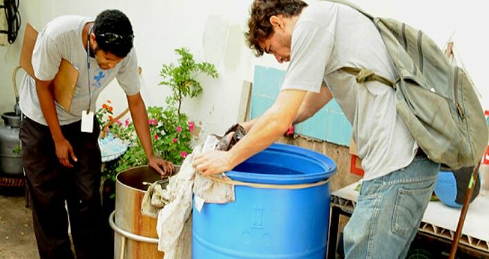 Boletim indica 129 casos de dengue este ano em Campinas