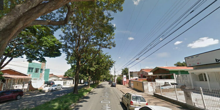 Extração de árvores bloqueia trecho da Avenida Ângelo Simões