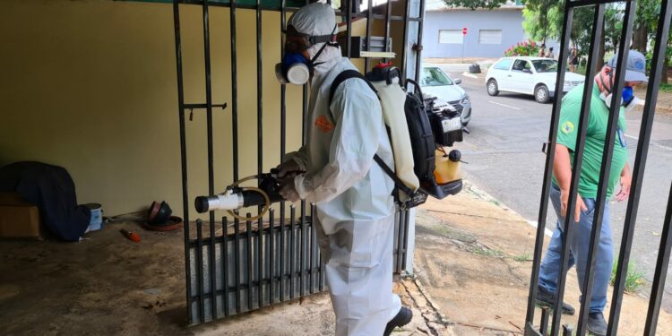 Hortolândia alerta população sobre sintomas da dengue