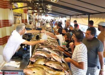 Mercadão em  Campinas: bancas de peixes e crustáceos estão sendo disputadas mas consumidores reclamam dos preços - Foto: Leandro Ferreira/Hora Campinas