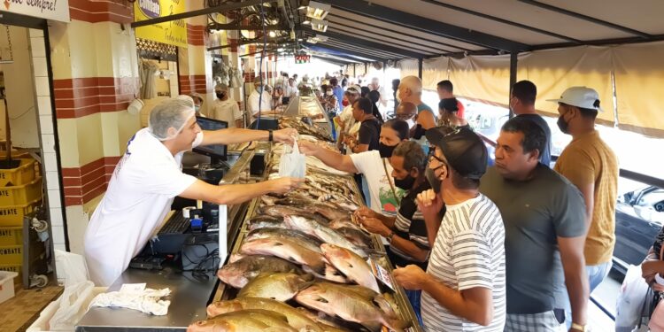 Mercadão em  Campinas: bancas de peixes e crustáceos estão sendo disputadas mas consumidores reclamam dos preços - Foto: Leandro Ferreira/Hora Campinas