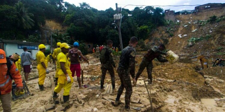 Procura por vítimas em Pernambuco: ao todo, 436 profissionais trabalham com a ajuda de embarcações, cães de busca e aeronaves - Foto: TV Brasil